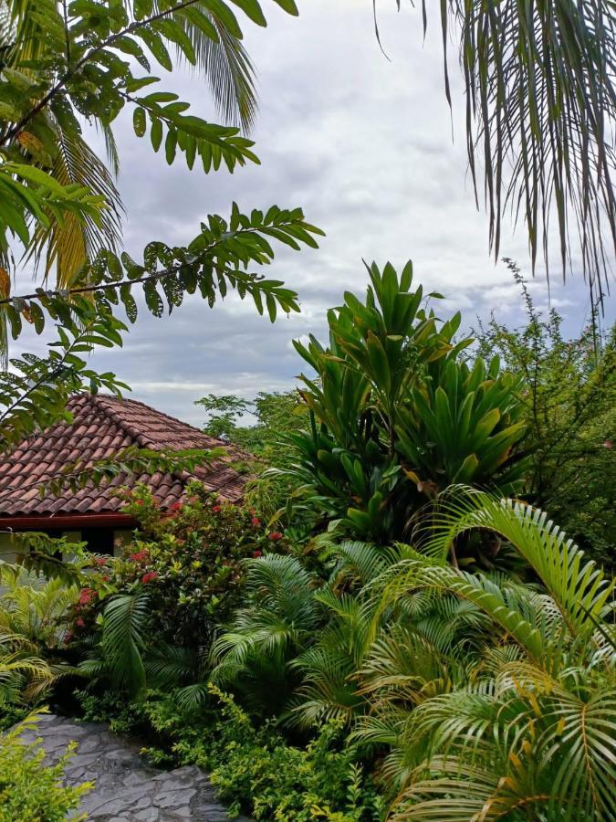 Finca Los Caballos Montezuma Esterno foto