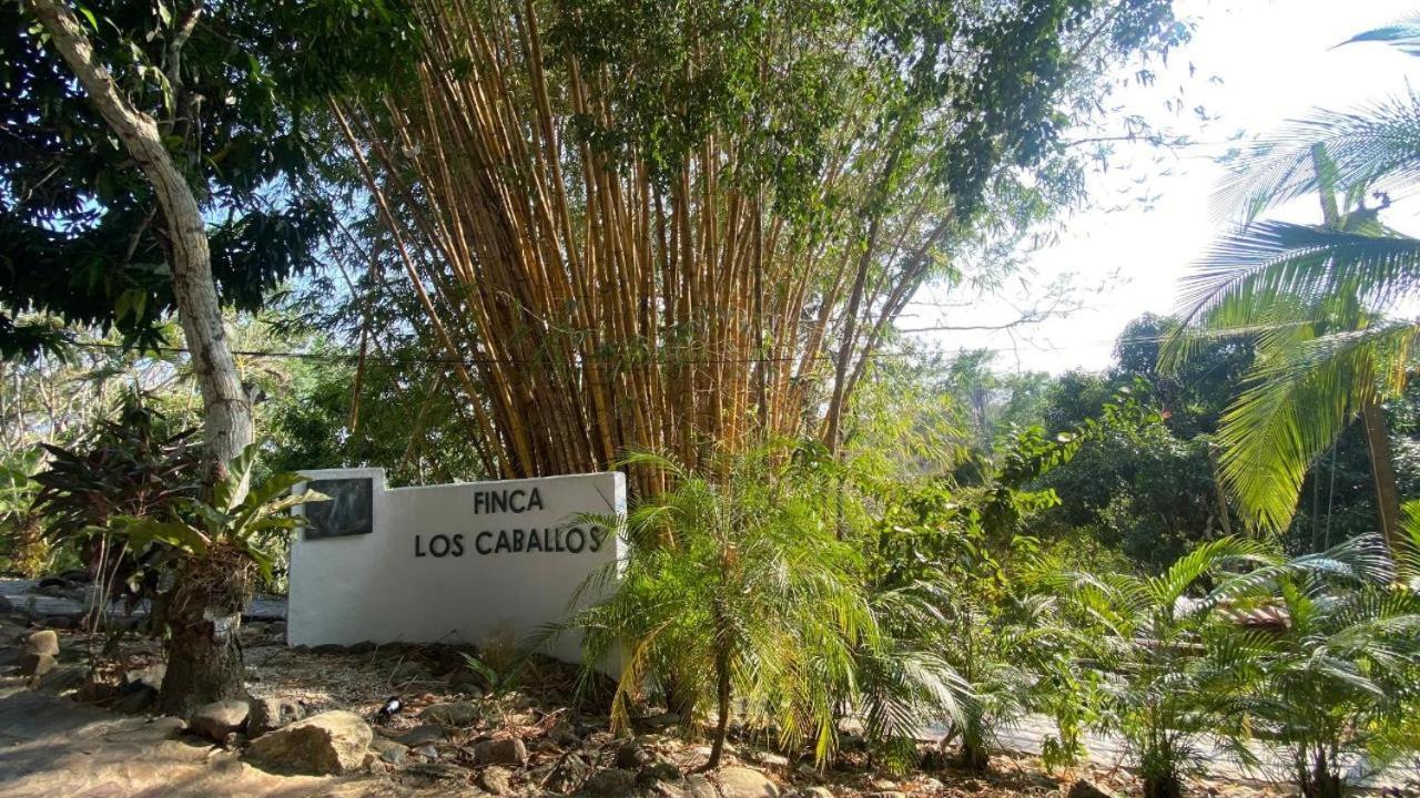 Finca Los Caballos Montezuma Esterno foto